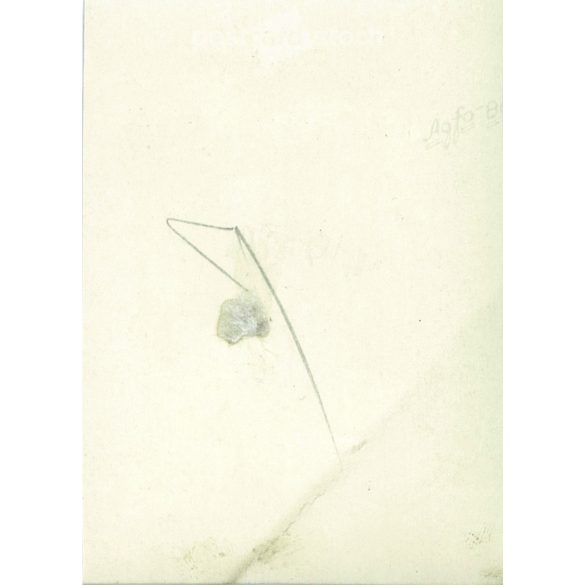 1950s. Germany. Beauty pageant, with competitor 34 in the middle. The creator of the image is unknown. Black and white original paper image, old photo. (2792445)