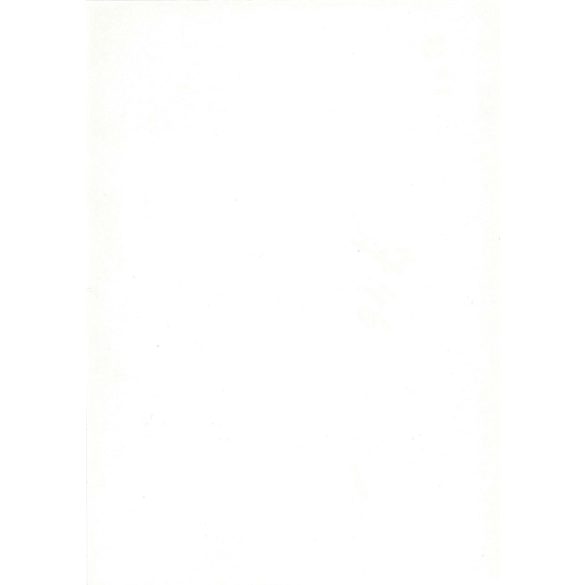 1964 - Young men (boys) on a trip to the lake. Black and white original paper image, old photo. (2792454)