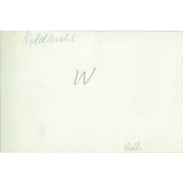 1920s. Germany. Traveling couple on a road trip. Black and white original paper image, old photo. (2792469)