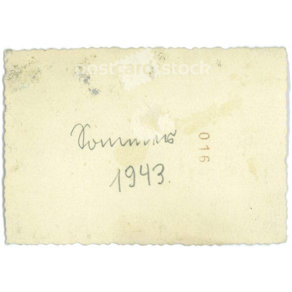 1943. Germany. Children on bicycles on a farm. The creator of the picture and the person on it are unknown. Black and white original paper image, old photo. (2792498)