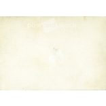 1950s. Germany. Bocik in the yard of a farm. Black and white original paper image, old photo. (2792499)