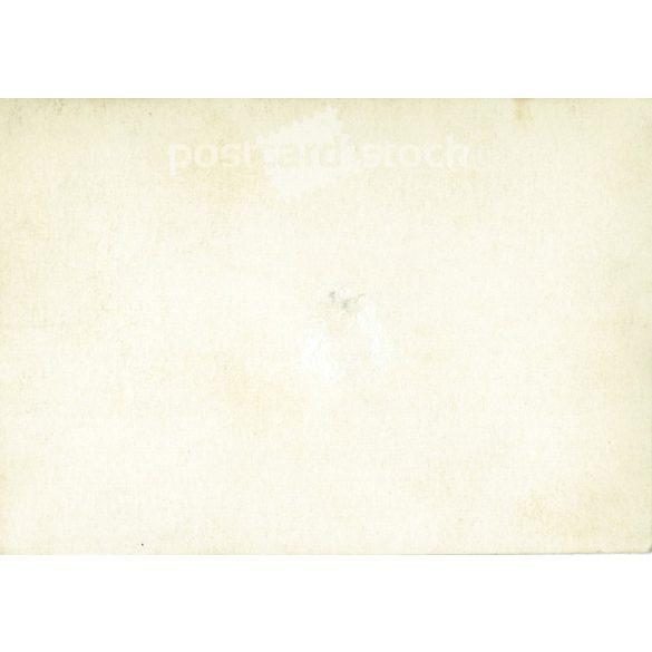 1950s. Germany. Bocik in the yard of a farm. Black and white original paper image, old photo. (2792499)