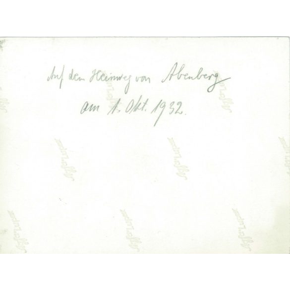 1932. Germany. On a family trip. The creator of the picture and the identity of the people on it are unknown. Black and white original paper image, old photo. (2792502)