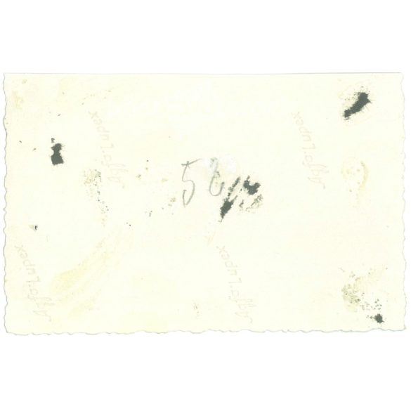 1958. Austria. Swimming training on the lake. The creator of the picture and the identity of the people on it are unknown. Black and white original paper image, old photo. (2792513)