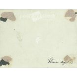 1922. Germany. Young lady on a forest hammock. The creator of the picture and the person on it are unknown. Black and white original paper image, old photo. (2792517)