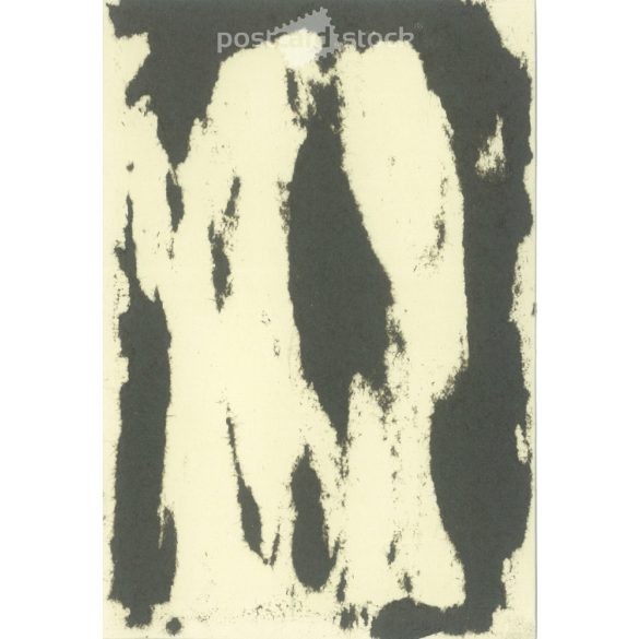 1930s. Germany. Ladies on a trip. The creator of the picture and the identity of the people on it are unknown. Black and white original paper image, old photo. (2792530)