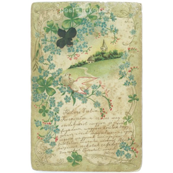 1903 – Lithographed, embossed old postcard. Stamped Mezőtúr. (2792533)