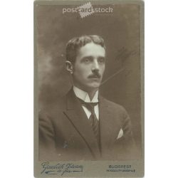   The work of the photography studio of István Goszleth and his son. Early 1900s, Versec, Serbia. Studio photo of a young man. Old photo, business card, CDV photo. (2792554)