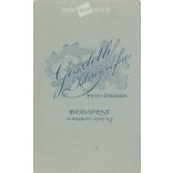 The work of the photography studio of István Goszleth and his son. Early 1900s, Versec, Serbia. Studio photo of a young man. Old photo, business card, CDV photo. (2792554)