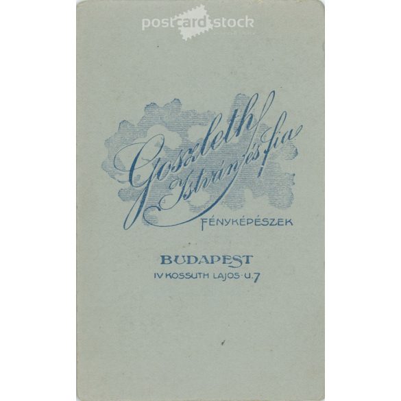 The work of the photography studio of István Goszleth and his son. Early 1900s, Versec, Serbia. Studio photo of a young man. Old photo, business card, CDV photo. (2792554)