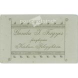 Early 1900s. Young woman in elegant clothes, studio shot. Studio of J. Frigyes Gonda, Kiskunfélegyháza. Old photo, original cabinet photo / hardback photo. (2792568)