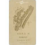 The work of Henrik Herz photography studio. Early 1900s, Budapest. Studio photo of an unknown young lady. Old photo, business card, CDV photo. (2792574)