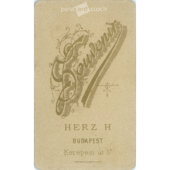 The work of Henrik Herz photography studio. Early 1900s, Budapest. Studio photo of an unknown young lady. Old photo, business card, CDV photo. (2792574)