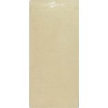 The work of Károly Rechnitzer’s photography studio. Early 1900s. Pančova, Serbia. Studio photo of an unknown young lady. Old photo, business card, CDV photo. (2792576)