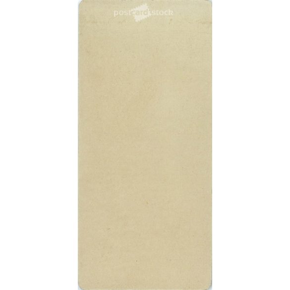 The work of Károly Rechnitzer’s photography studio. Early 1900s. Pančova, Serbia. Studio photo of an unknown young lady. Old photo, business card, CDV photo. (2792576)