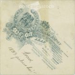 The work of the photography studio of József Kossak. Arad. Early 1900s. Studio photo of a young couple, Pepi and Juliska. Old photo, original cabinet photo / hardback photo. (2792579)