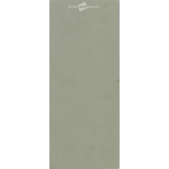 The work of T. Hofer photography studio. Weilheim Peissenberg. Early 1900s. Studio photo of an unknown young woman. Old photo, business card, CDV photo. (2792580)