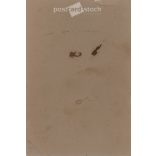 1910s. Full-length studio shot of an elegant married couple. Produced by the photography studio of István Locker, Munkács. Old photo, original cabinet photo / hardback photo. (2792597)