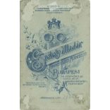 Early 1900s. Budapest. The work of Aladár Székely photography studio. Portrait photo of an unknown young man. Old photo, business card, CDV photo. (2792607)