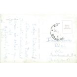 Debra Paget is an American actress and entertainer. Original paper image. Old photo. Colored photo sheet, old postcard. (2792617)