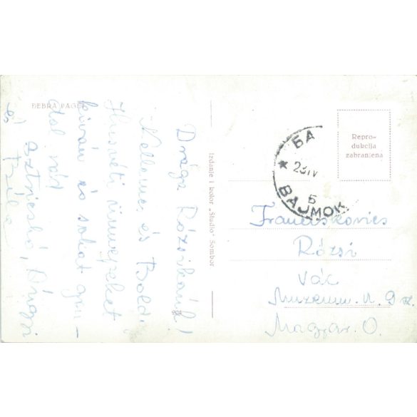 Debra Paget is an American actress and entertainer. Original paper image. Old photo. Colored photo sheet, old postcard. (2792617)