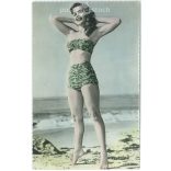 Beach shot from the 60s. Original paper image. Old photo. Colored photo sheet, old postcard. (2792638)