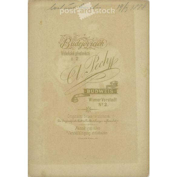 1887. Testvérpár, műtermi felvétele. Személyük ismeretlen. A photo by A. Pech, Budweis, Wiener Vorstadt 2. fényképészeti műtermében készült. Eredeti kabinetfotó / keményhátó fotó / régi fotó. (2792672)