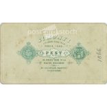 1866 - Made in Simonyi photography studio. Pest, Váczi utcza 1. The identity of the man in the picture is unknown. Old photo, business card, CDV photo. (2792675)