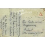 1924 - New Year’s greeting. Original paper image. Old photo. Colored photo sheet, old postcard. (2792685)