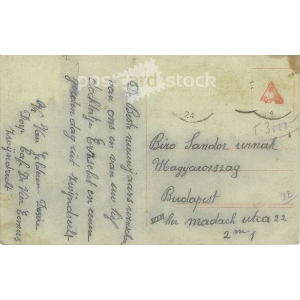 1924 - New Year’s greeting. Original paper image. Old photo. Colored photo sheet, old postcard. (2792685)