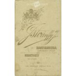 1890s. Studio photo of sisters. The persons in the picture are unknown. The work of the photography studio of J. Istvánffy. Keszthely. Old photo, business card, CDV photo. (2792688)