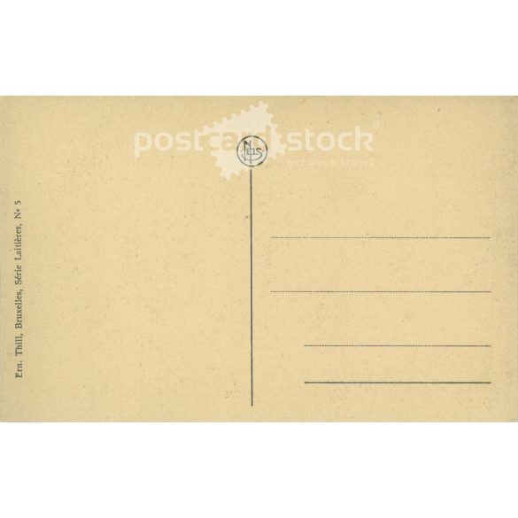 Flemish folk costume. Original paper image. Old photo. Black and white photo sheet, old postcard. (2792693)