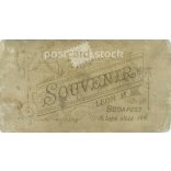 1910s. Studio photo of young woman. The person in the picture is unknown. The work of Leon H. photography studio. Budapest. Old photo, business card, CDV photo. (2792702)