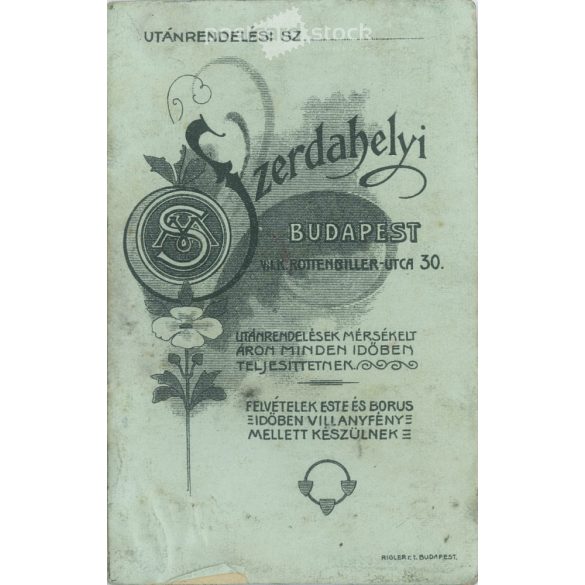 Early 1900s. Studio photo of a young man. The person in the picture is unknown. The work of the photography studio in Szerdahely. Budapest. Old photo, business card, CDV photo. (2792703)