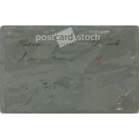 1900. Studio photo of a young woman in elegant clothes. The person in the picture is unknown. The work of the photography studio of Károly Divald’s son. Strawberry. Old photo, business card, CDV photo. (2792705)