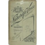 1891. Studio photo of a middle-aged, elegant gentleman. The person in the picture is unknown. The work of the Liederhoffer photography studio. Budapest. Old photo, business card, CDV photo. (2792710)