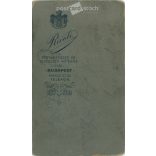 Around 1910. Studio photo of a young man. The person in the picture is unknown. The work of Rivoli photography studio. Budapest. Old photo, business card, CDV photo. (2792712)