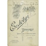 1904 - Studio portrait of an elegant, middle-aged man. The work of a photography studio in Transylvania. Budapest. Old photo, original cabinet photo / hardback photo. (2792770)