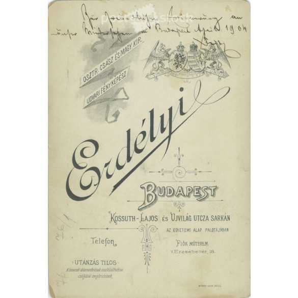 1904 - Studio portrait of an elegant, middle-aged man. The work of a photography studio in Transylvania. Budapest. Old photo, original cabinet photo / hardback photo. (2792770)