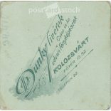 Late 1800s. Elegant woman, studio photo. The person in the picture is unknown. The work of Dunky Fivérek photography studio. Cluj. Old photo, original cabinet photo / hardback photo. (2792774)