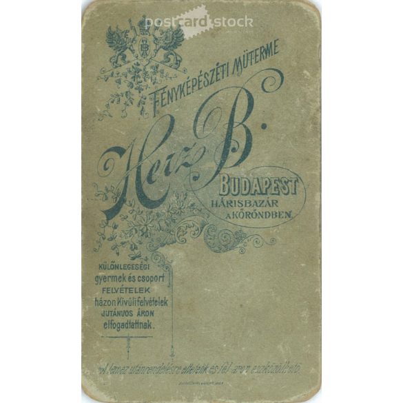 Early 1900s. Distinguished gentlemen, your studio photo. The persons in the picture are unknown. The work of Herz B. photography studio. Budapest. Old photo, original cabinet photo / hardback photo. (2792775)