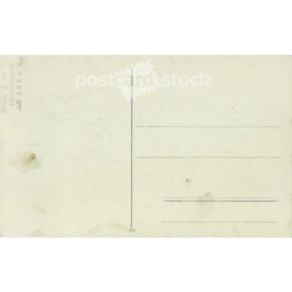 Circa 1900. Studio shot of elegant young man. The person in the picture is unknown. The photo was taken by József Kiss és Fia photography studio. Mouse. Original paper image. Old photo. Black and white photo sheet, old postcard. (27925779)