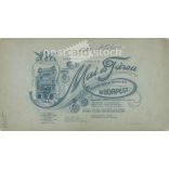 October 1908. Studio shot of a young couple. The identity of the people in the picture is unknown. The photo studio of Mai és Társa was created. Old photo, original cabinet photo / hardback photo. (2792783)