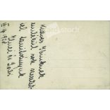 1928. Ladies with pigeons. The identity of the people in the picture and the creator of the picture are unknown. Original paper image. Old photo. Black and white photo sheet, old postcard. (27925788)