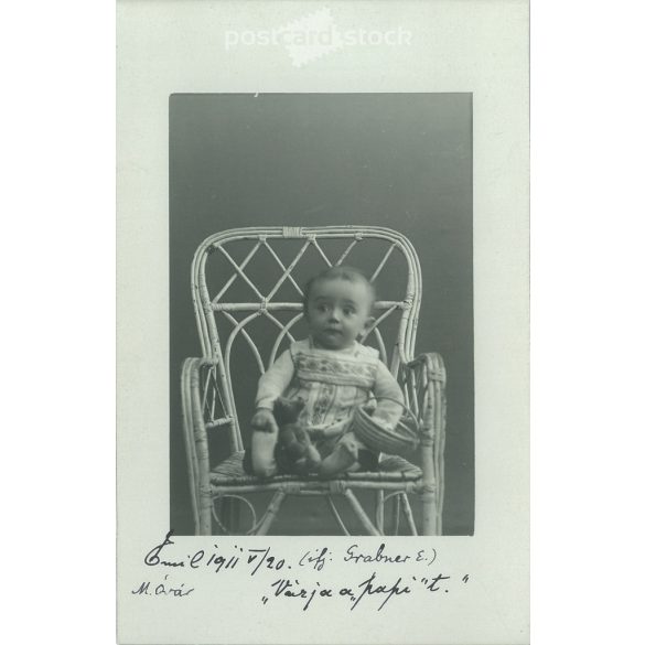 1911 – The young heir to the throne. The person in the picture and the photographer are unknown. Original old photo. Black and white photo, old postcard. (2792793)
