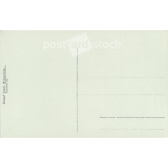 1911 - The young heir to the throne. The person in the picture and the photographer are unknown. Original old photo. Black and white photo, old postcard. (2792793)