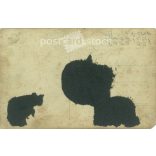 Railway(?) brass band with civilians. The people in the picture and the photographer are unknown. Original old photo. Black and white photo sheet, old postcard. (2792796)