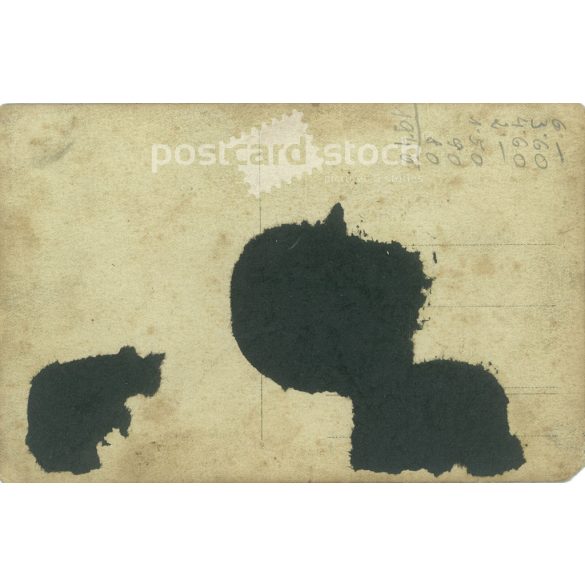 Railway(?) brass band with civilians. The people in the picture and the photographer are unknown. Original old photo. Black and white photo sheet, old postcard. (2792796)