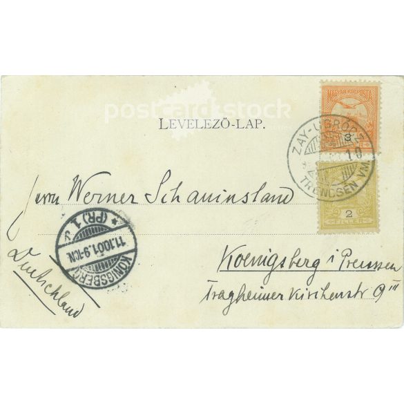 1901 - Man in national costume, with accordion. The person in the picture is unknown. The photo was taken in Tremcsén Teplice, in Henrik Szold’s photo studio. Original old photo. Black and white photo, old postcard. (2792810)