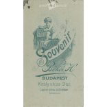 Mr Zwickeres, with bow tie, portrait photo. Original cabinet photo / hardback photo / business card, CDV photo (2792815)